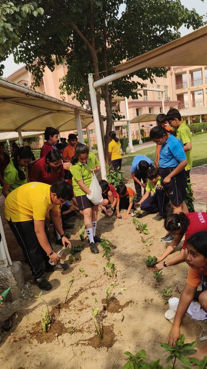Middle Wing Bagless Day: Learning Beyond Boundaries